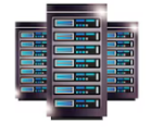 Web Hosting Web Hosting